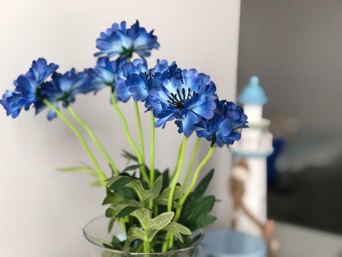 Ahoj Apartment Leba Ngoại thất bức ảnh